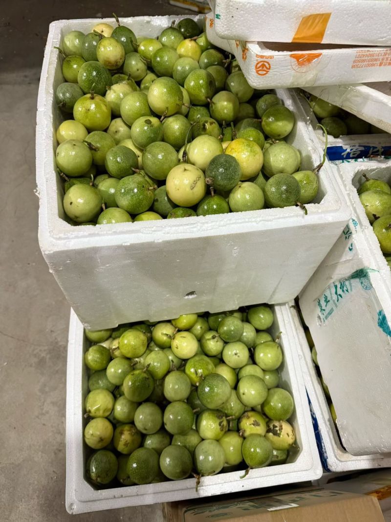 钦密9号百香果