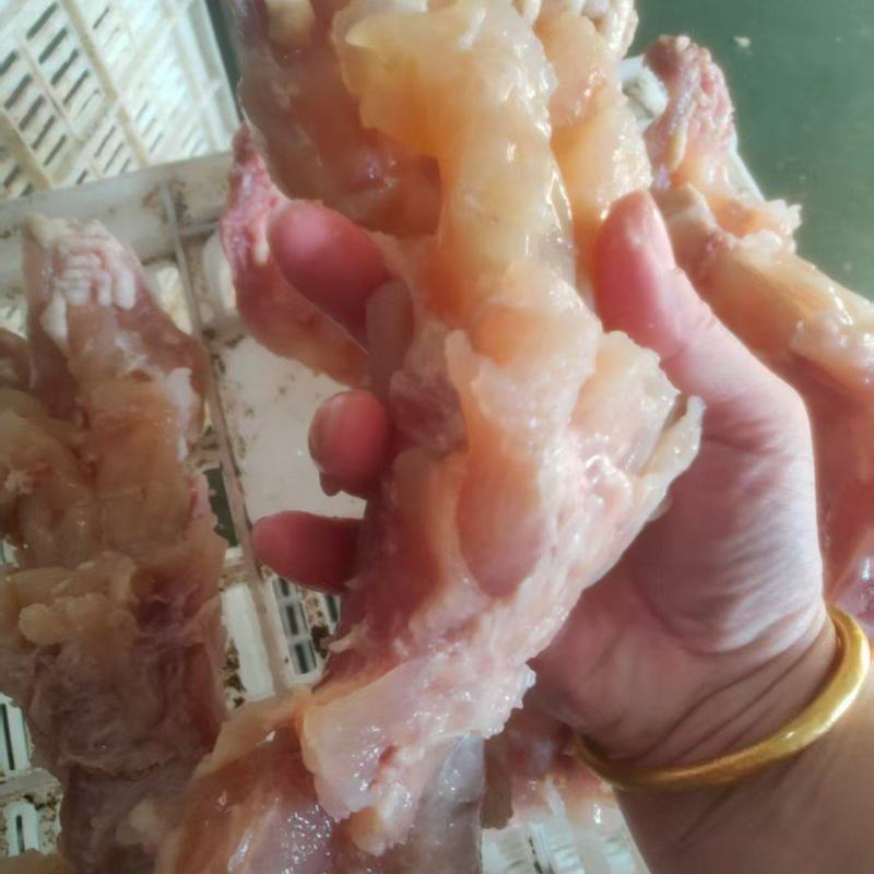 熟牛蹄筋厂家直发品种齐全品质保障对接全国来电优惠