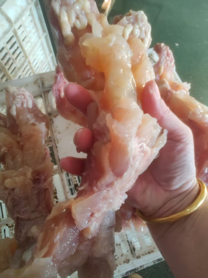 熟牛蹄筋厂家直发品种齐全品质保障对接全国来电优惠