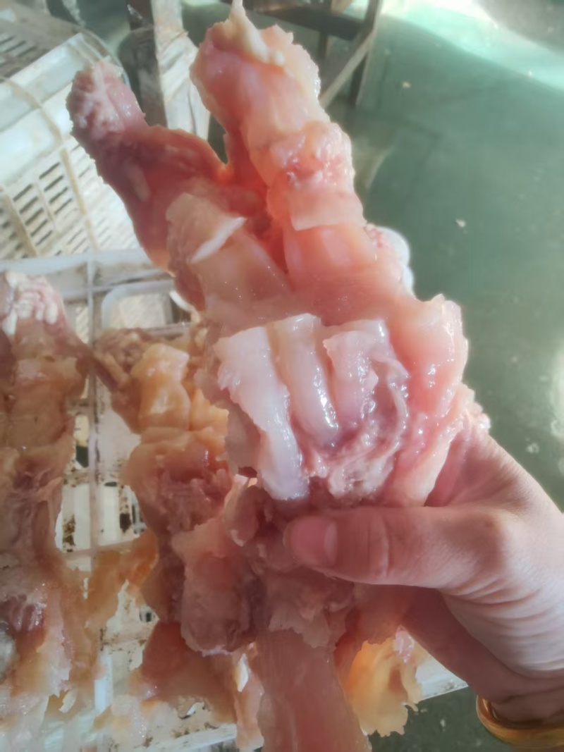 熟牛蹄筋厂家直发品种齐全品质保障对接全国来电优惠
