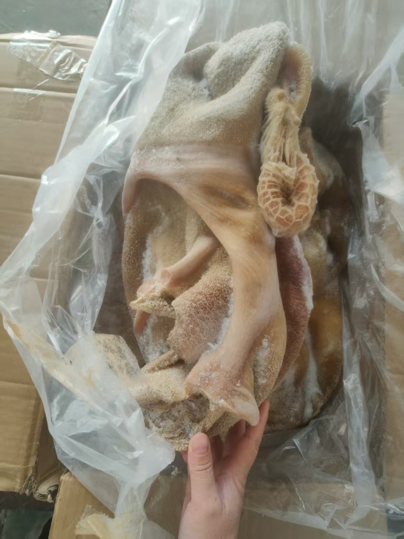 纯干熟牛肚厂家直发按需包装量大优惠对接全国