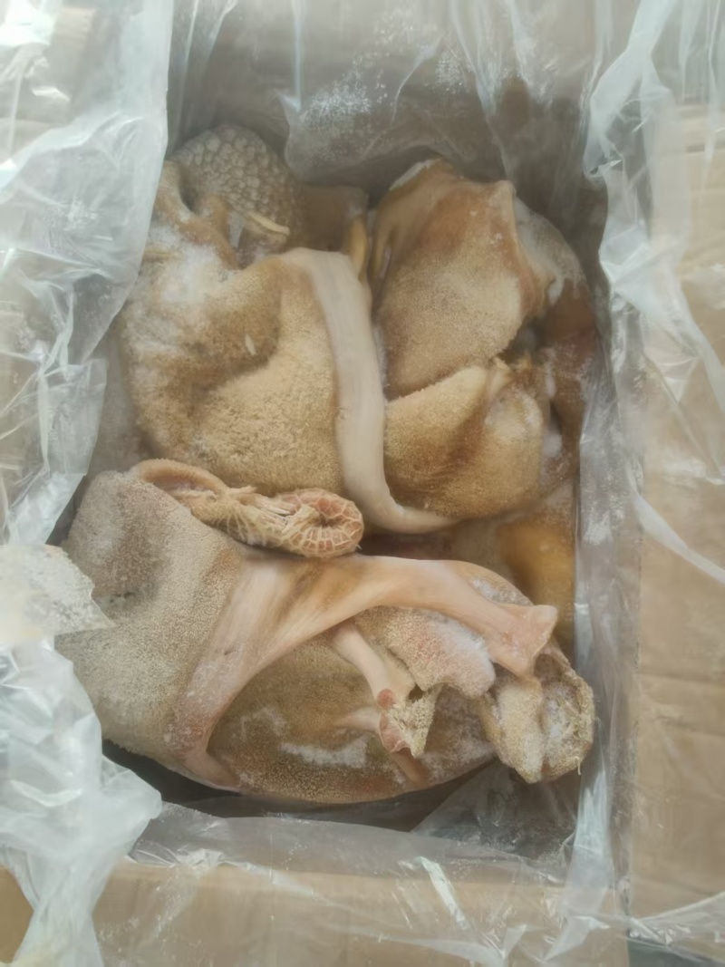 纯干熟牛肚厂家直发按需包装量大优惠对接全国