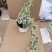雪莹常春藤爬藤垂吊绿植盆栽