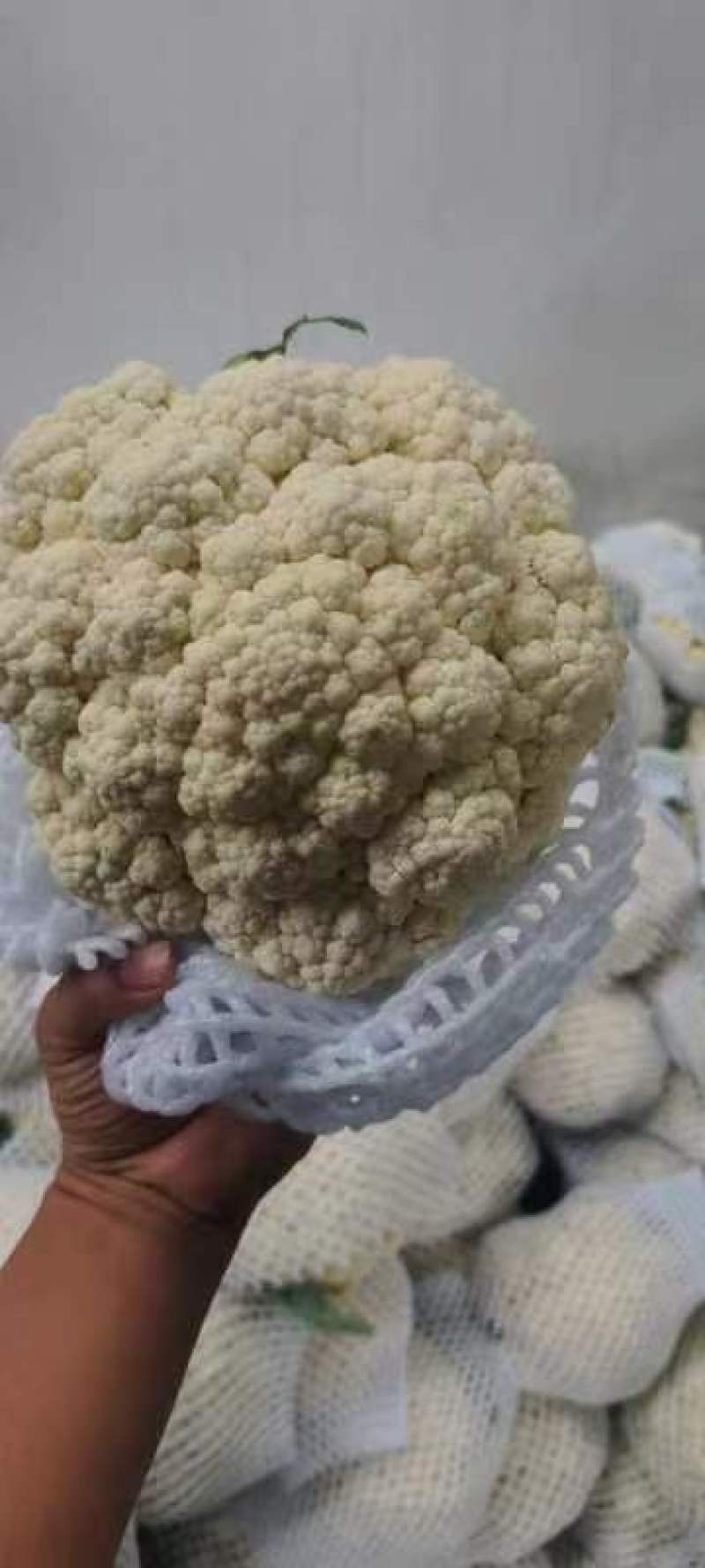 精品有机花，一级采购，可视频看货，