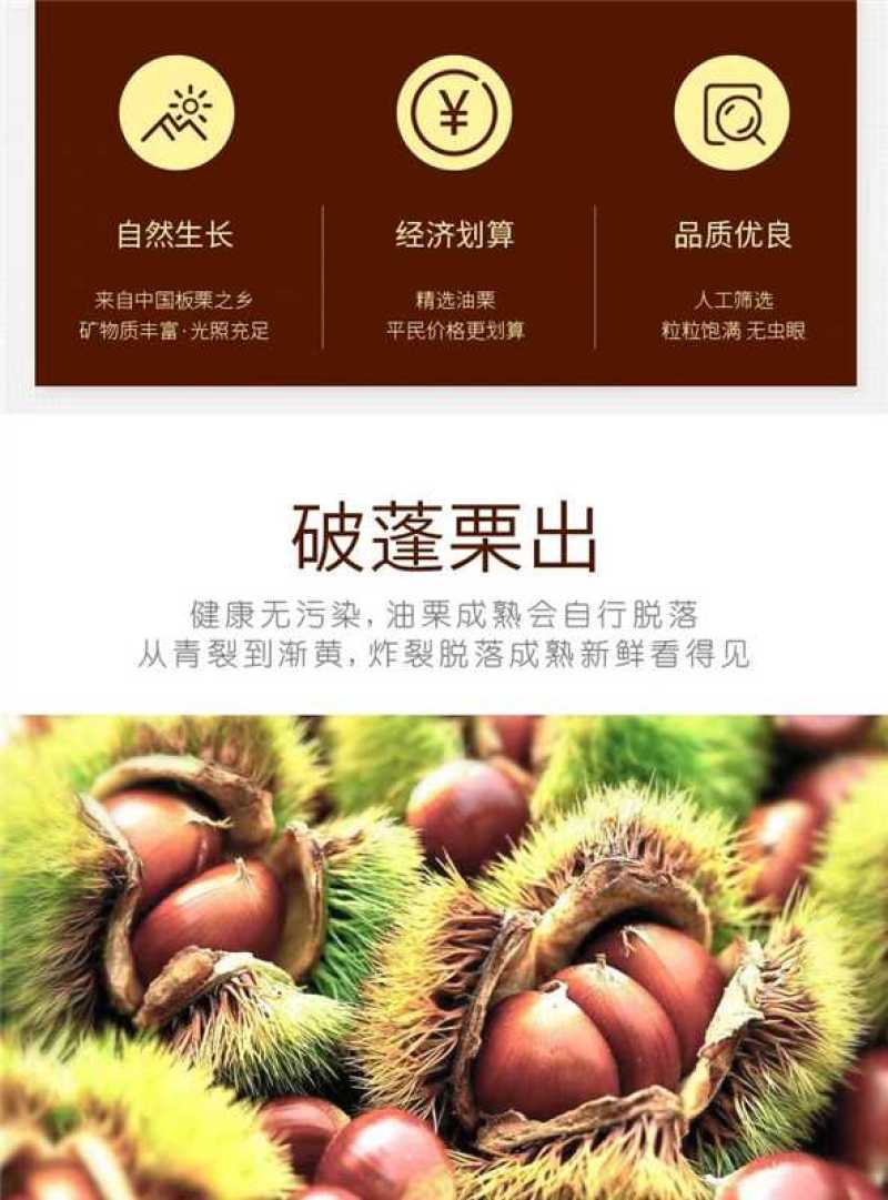 山东板栗大量有货，一件代发对接电商抖音快手拼夕夕