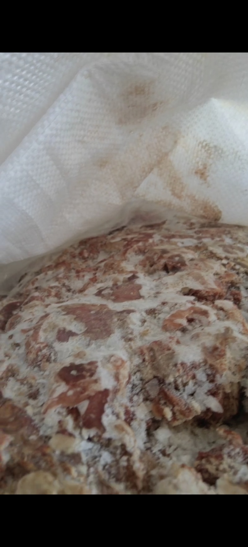 牛肉筋