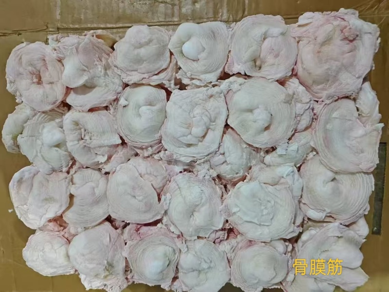 骨膜筋