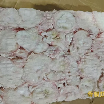 骨膜筋