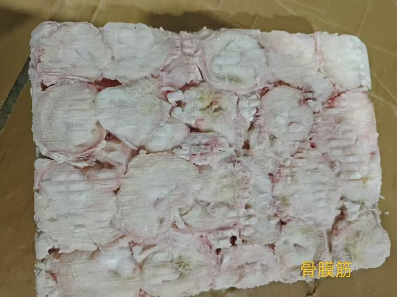 骨膜筋