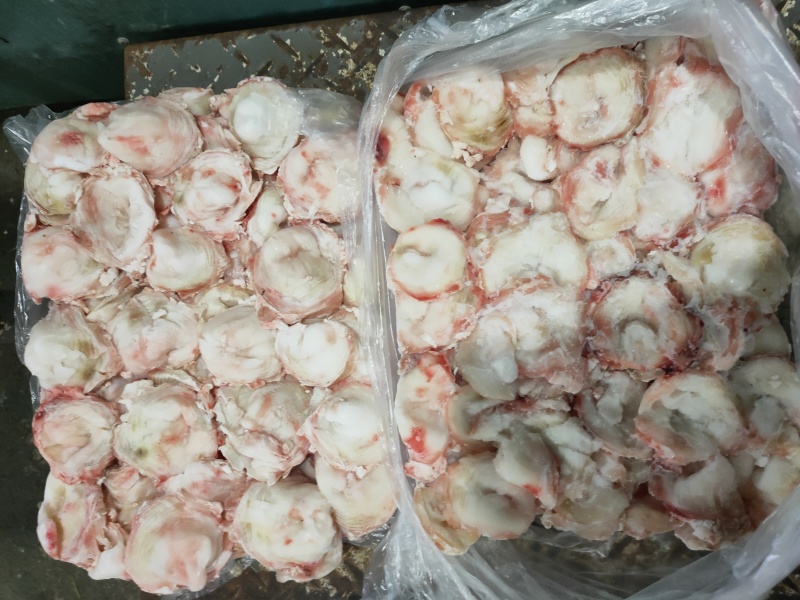 骨膜筋