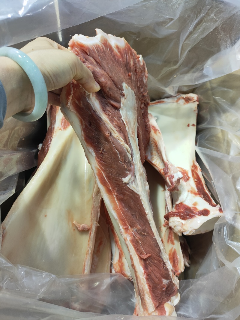 带肉扇子骨