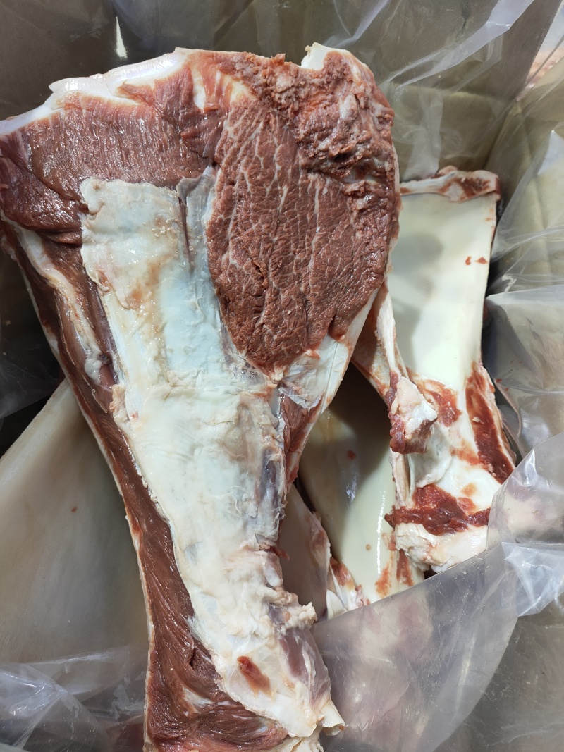 带肉扇子骨