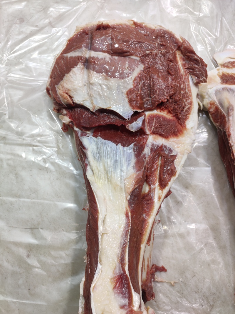 带肉扇子骨