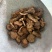 内蒙阿拉善肉苁蓉鲜切片精选货货源充足包邮