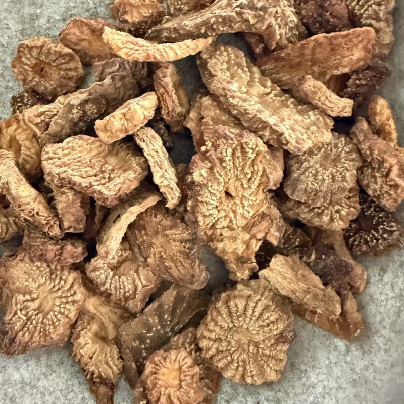 内蒙阿拉善肉苁蓉鲜切片精选货货源充足包邮