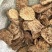 内蒙阿拉善肉苁蓉鲜切片精选货货源充足包邮
