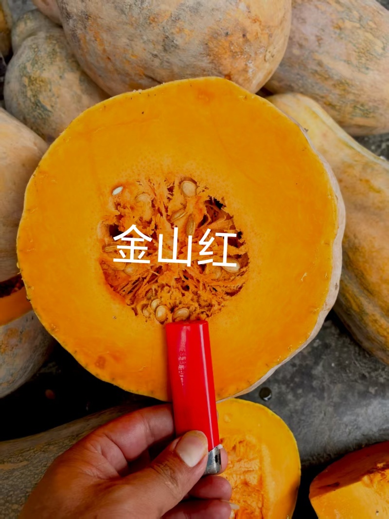 金山红大果蜜本肉厚皮硬皮色漂亮