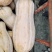 金山红大果蜜本肉厚皮硬皮色漂亮