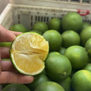云南，冰糖橙🍊
