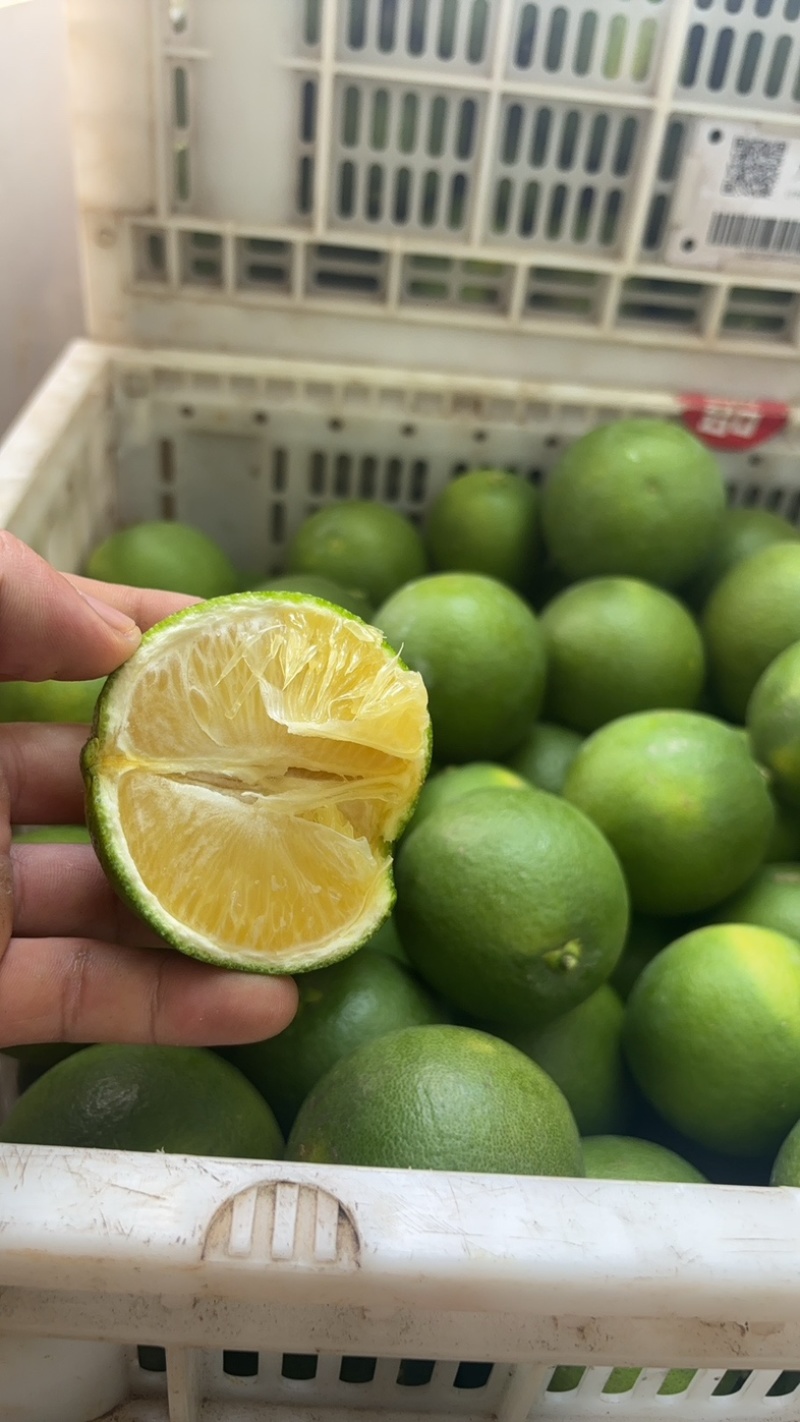 云南，冰糖橙🍊
