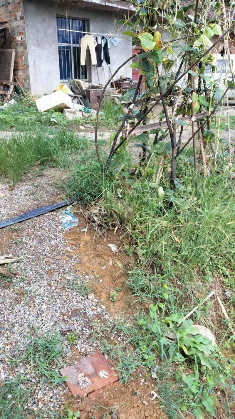 武宁县荒地出租
