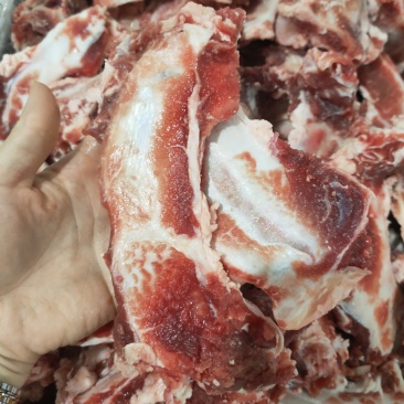 篦子骨