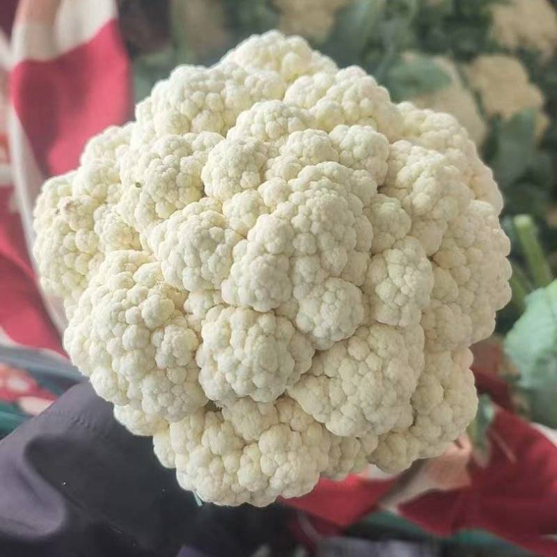 精品散花