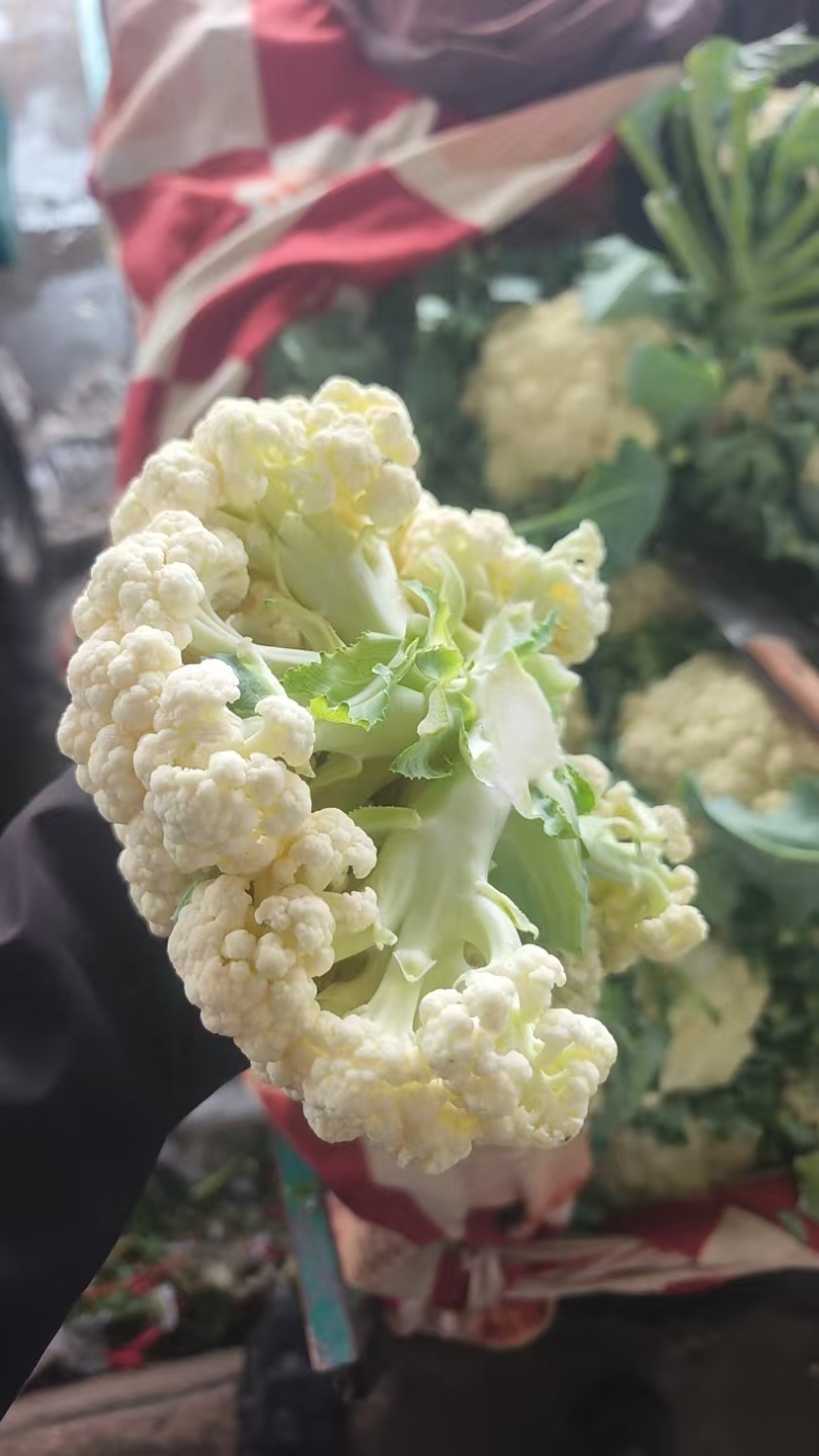 精品散花