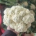 精品散花