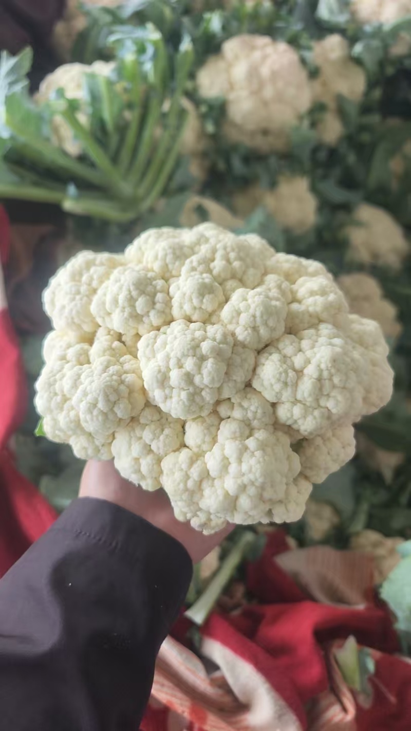 精品散花