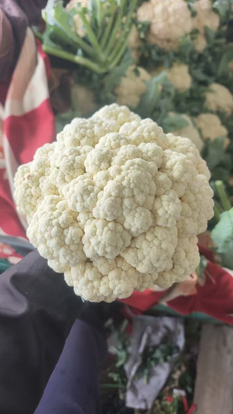 精品散花