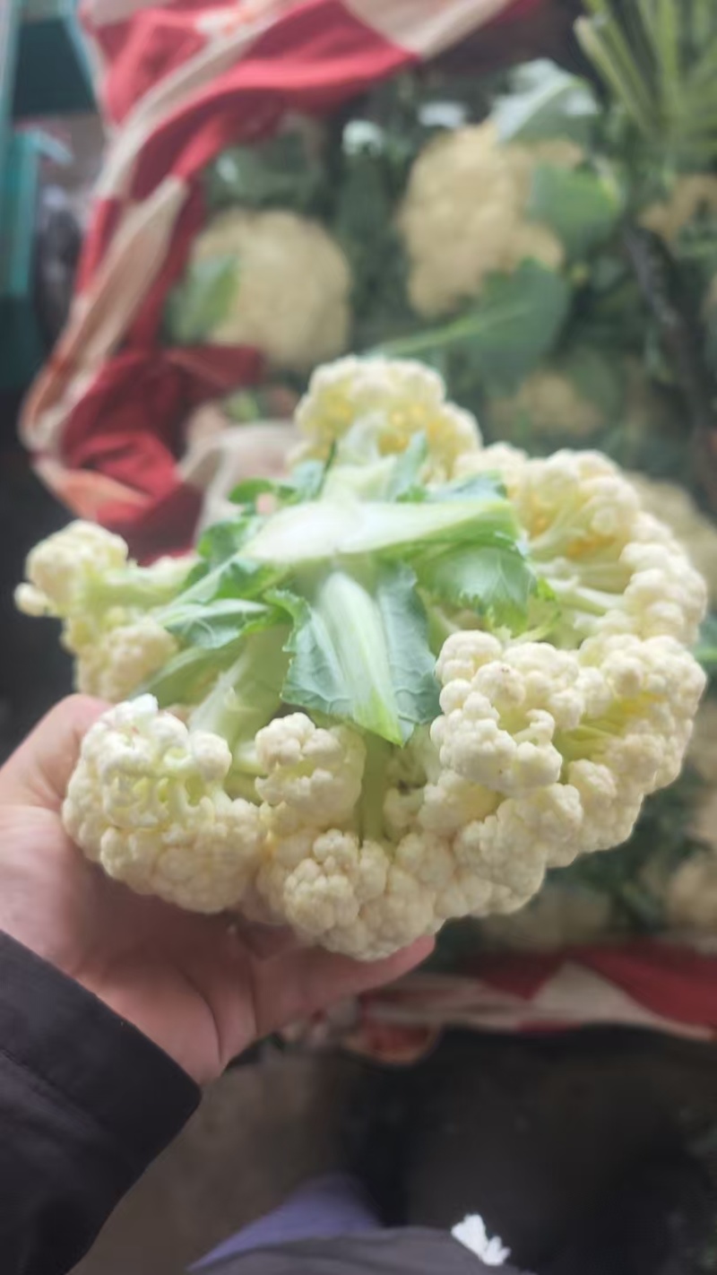 精品散花