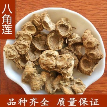 八角莲中药材正品金魁莲鬼臼一把伞八角连八角七江边一碗水袋