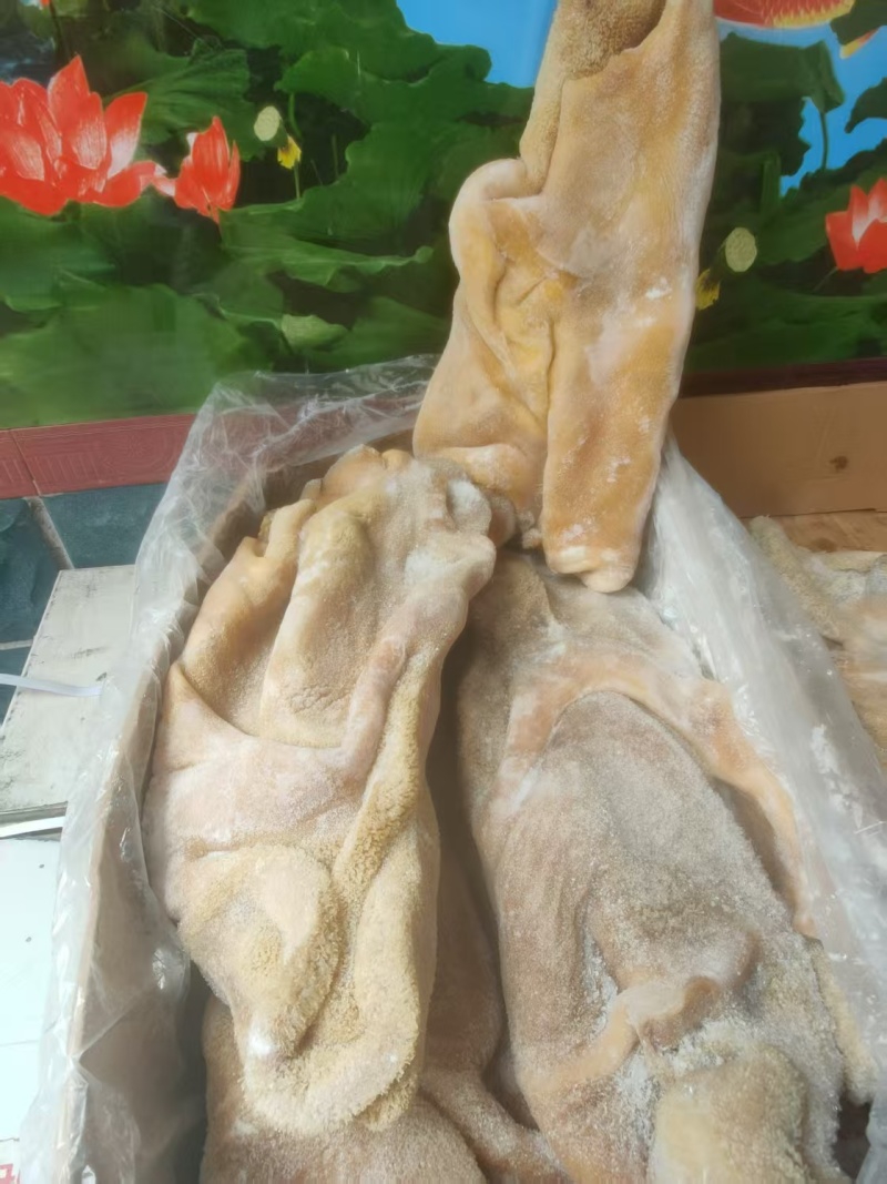 纯干无油牛肚厂家直发品质保障对接全国量大优惠