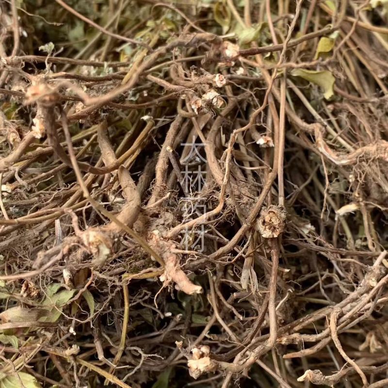 天香炉【包邮】三斤起发货可批量可零售量大从优