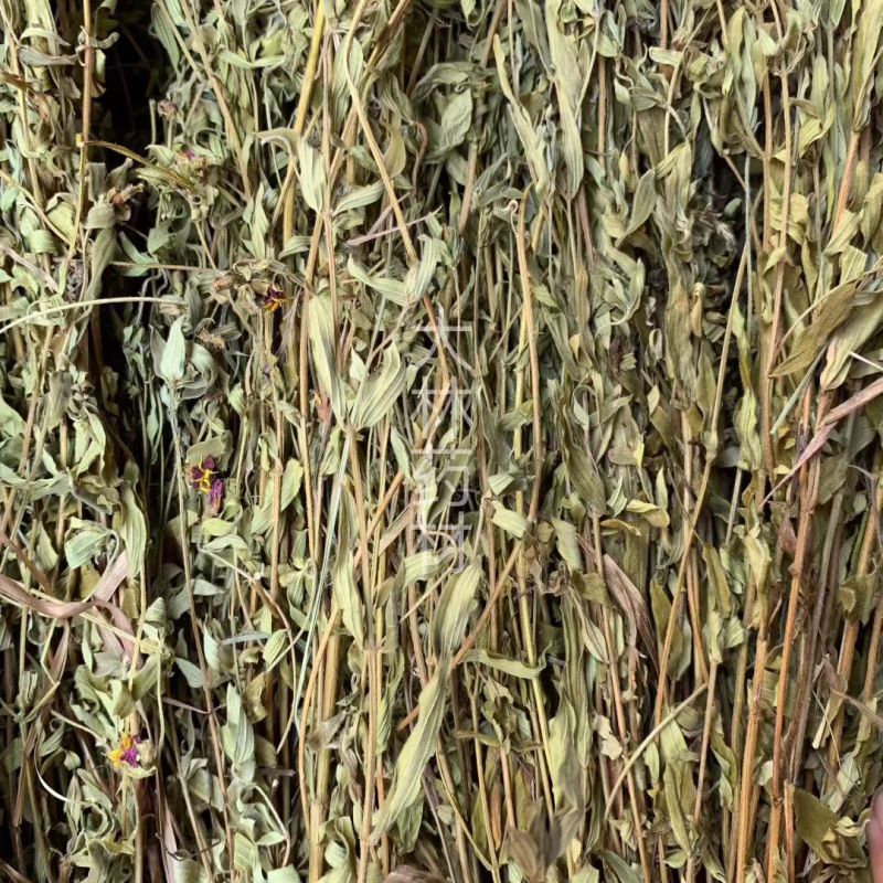 天香炉【包邮】三斤起发货可批量可零售量大从优