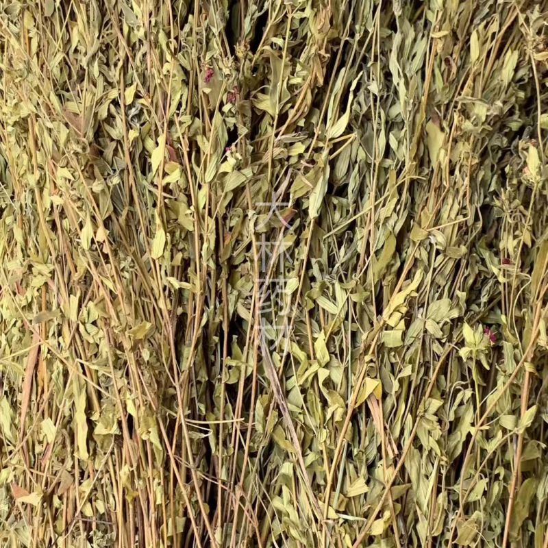 天香炉【包邮】三斤起发货可批量可零售量大从优