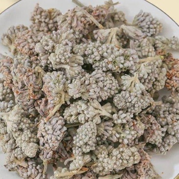 密蒙花中药材正品密蒙花***野生新货无硫精选蜜蒙花合欢花