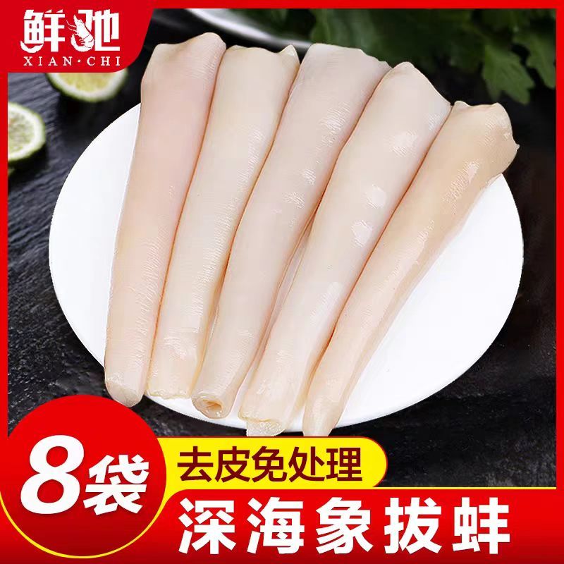 海笋贝