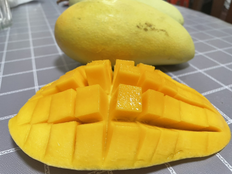 广西崇左金煌芒产地直发量大从优诚信合作欢迎来电咨询