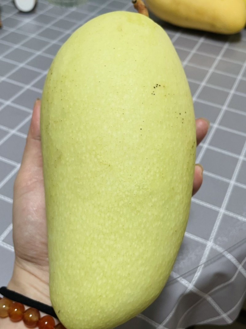 广西崇左金煌芒产地直发量大从优诚信合作欢迎来电咨询