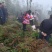 正宗昭通小草坝新鲜天麻1两起到4两通货产地直发