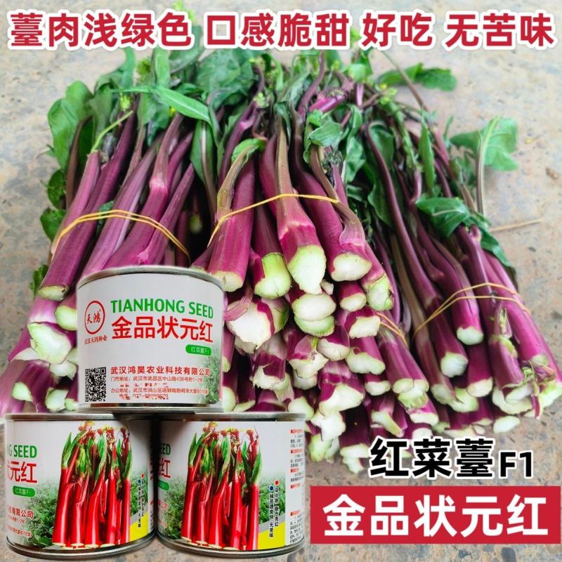 金品状元红菜薹种子脆甜无苦味薹叶尖小且少薹肉浅绿色红菜苔