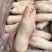 带筋猪蹄，规格10kg