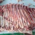鲜冻牛肉