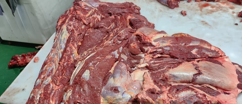 鲜冻牛肉