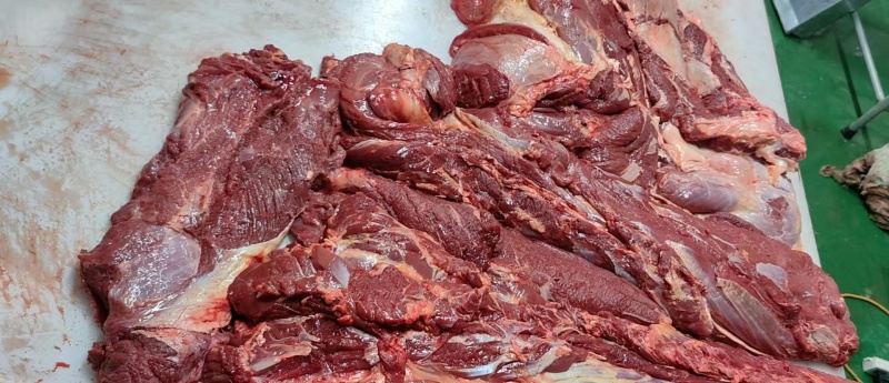 鲜冻牛肉