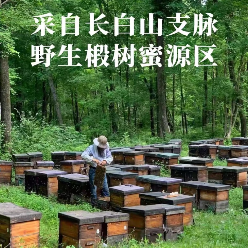 土蜂蜜500g天然纯正深山蜂蜜ODM