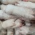猪蹄块。排骨粒。各种碎肉。