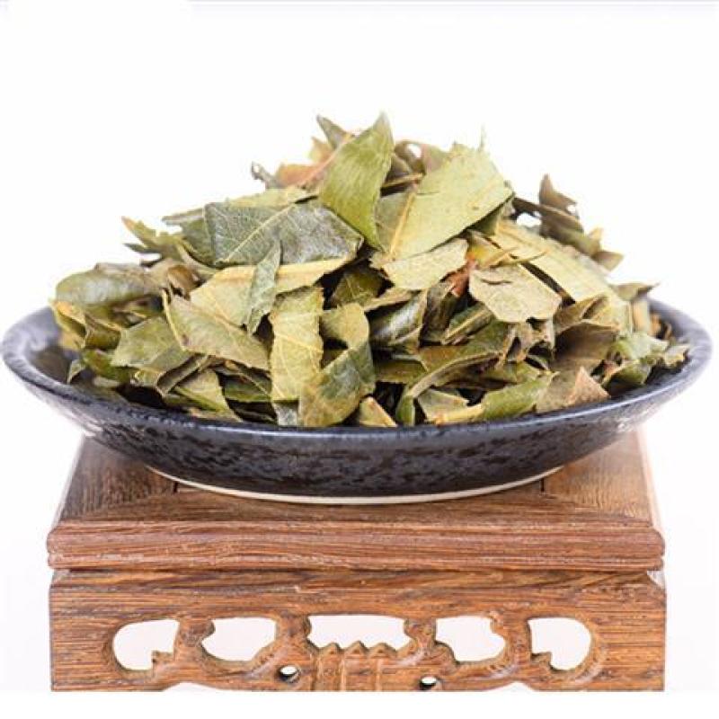 枇杷叶中药材店铺新鲜干货琵琶叶泡茶咳止批把叶子中草药